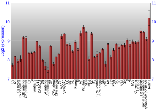 Expression graph