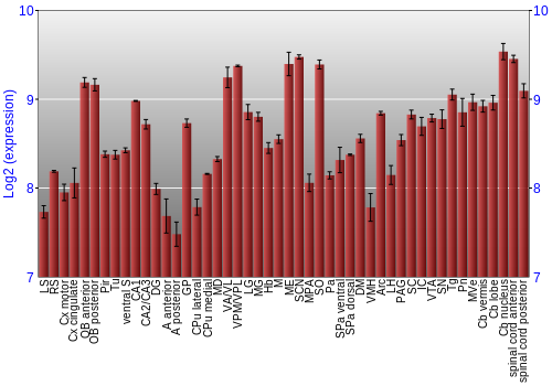 Multi-state expression graph