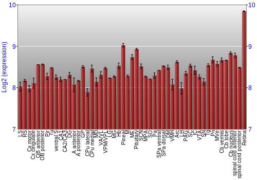 Expression graph