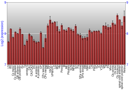 Expression graph
