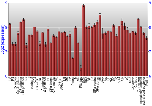 Expression graph