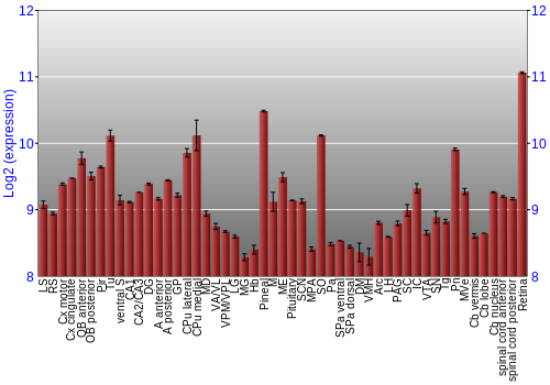 Expression graph