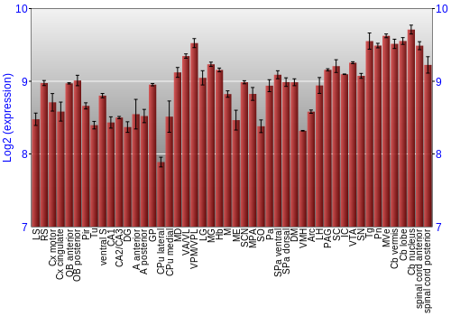 Multi-state expression graph
