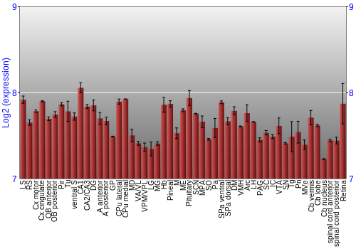 Expression graph