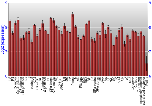 Expression graph