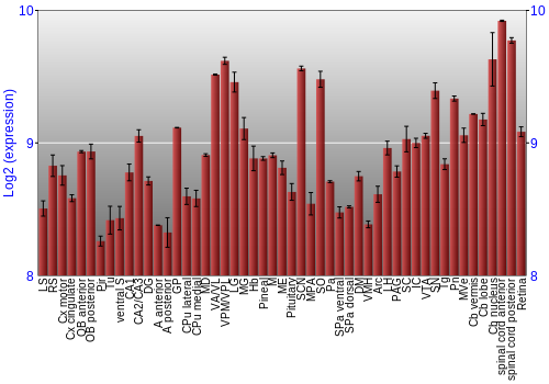 Expression graph
