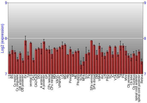 Expression graph
