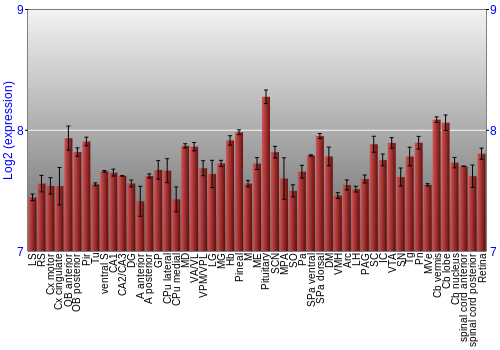Expression graph