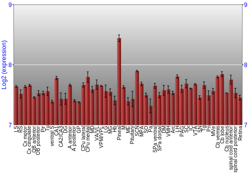 Expression graph