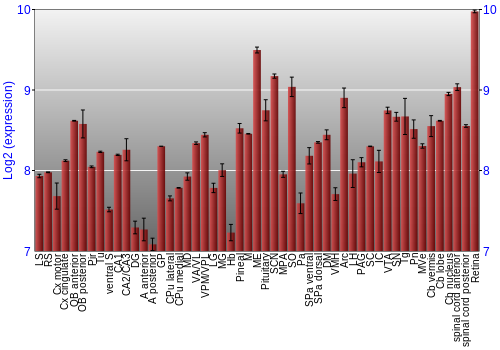 Expression graph