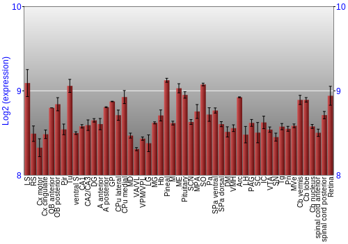 Expression graph