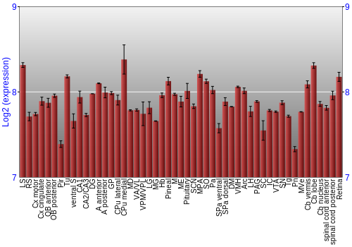 Expression graph