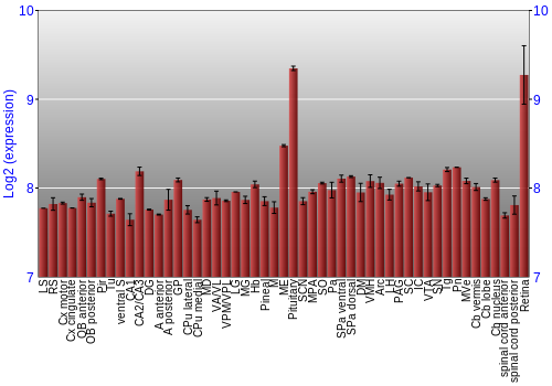Expression graph