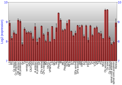 Expression graph