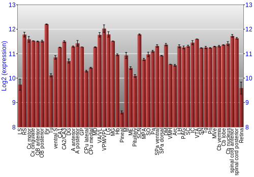 Expression graph