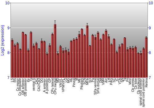 Expression graph