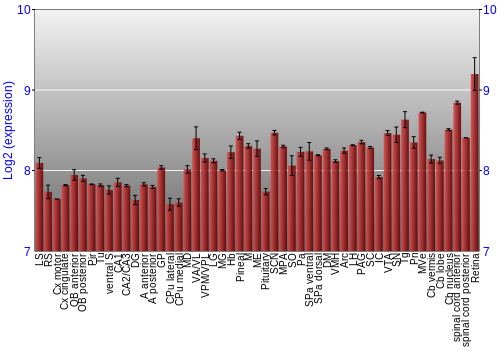 Expression graph