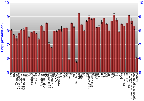 Expression graph