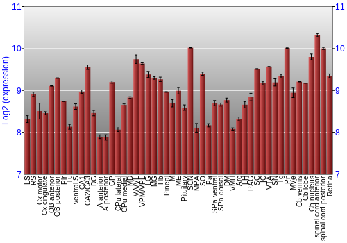 Expression graph