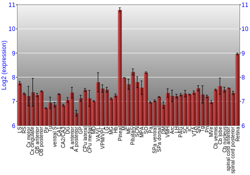 Expression graph