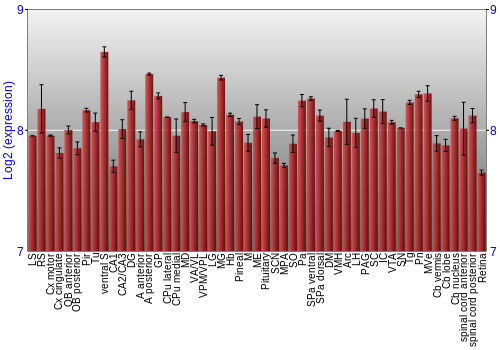 Expression graph