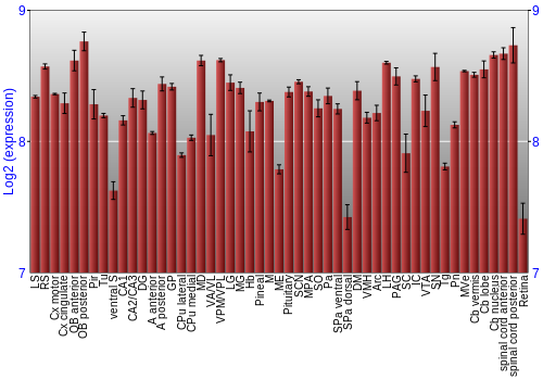 Expression graph