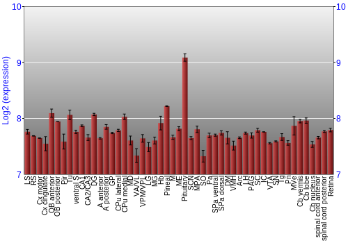 Expression graph