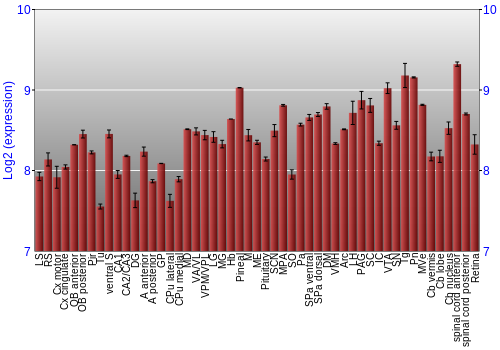 Expression graph
