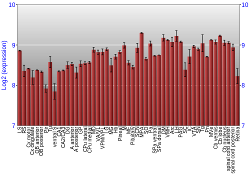 Expression graph