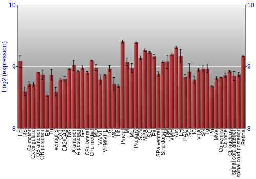 Expression graph