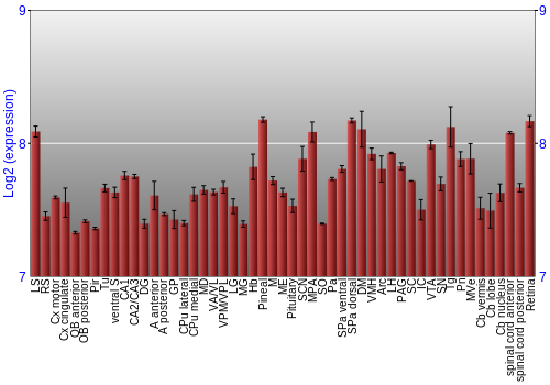 Expression graph