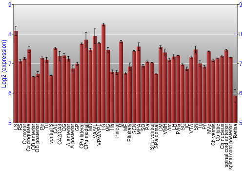 Expression graph