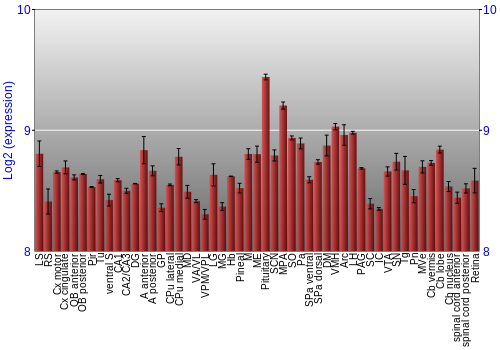Expression graph