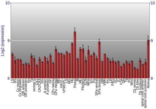 Expression graph