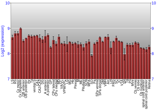 Expression graph