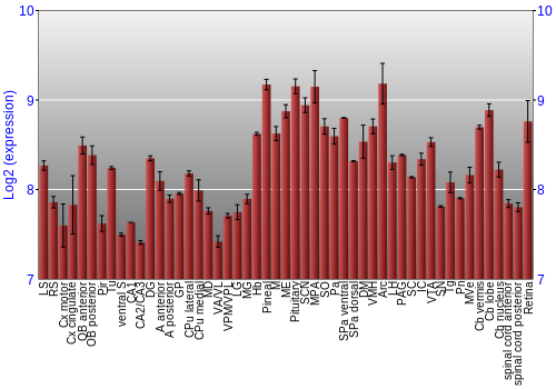 Expression graph