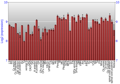 Expression graph