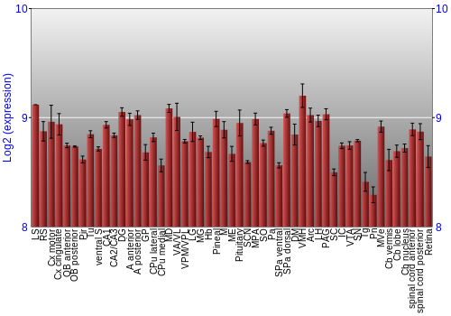 Expression graph