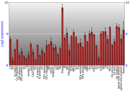 Expression graph