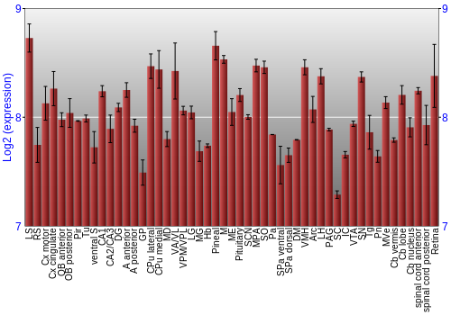 Expression graph