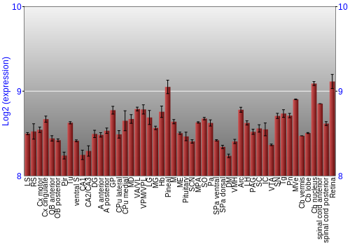 Expression graph