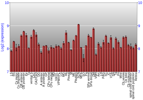 Expression graph