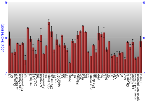 Expression graph