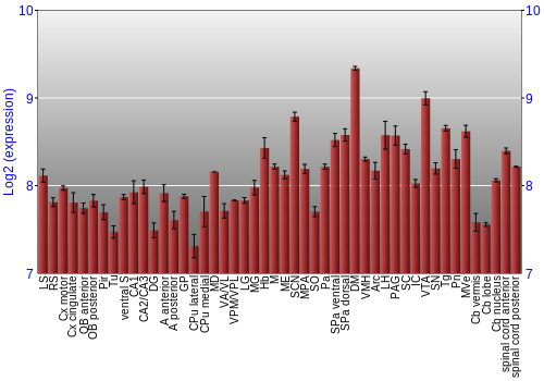 Multi-state expression graph
