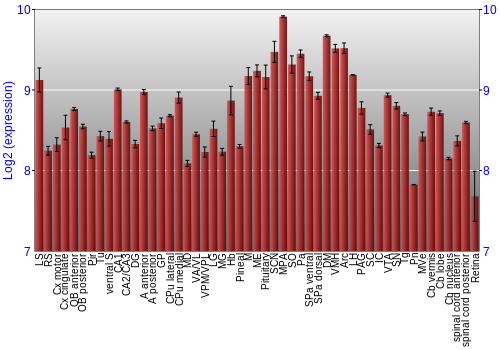 Expression graph