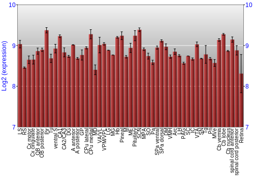 Expression graph