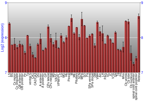 Expression graph