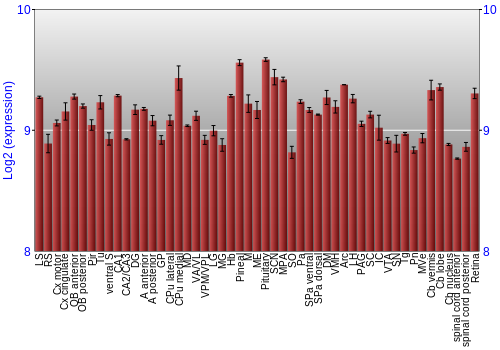 Expression graph