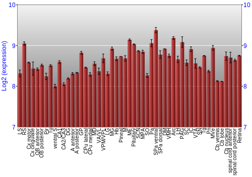 Expression graph