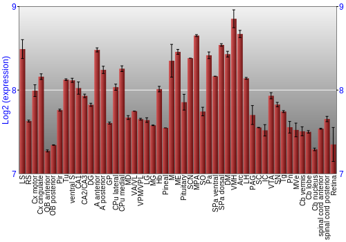 Expression graph
